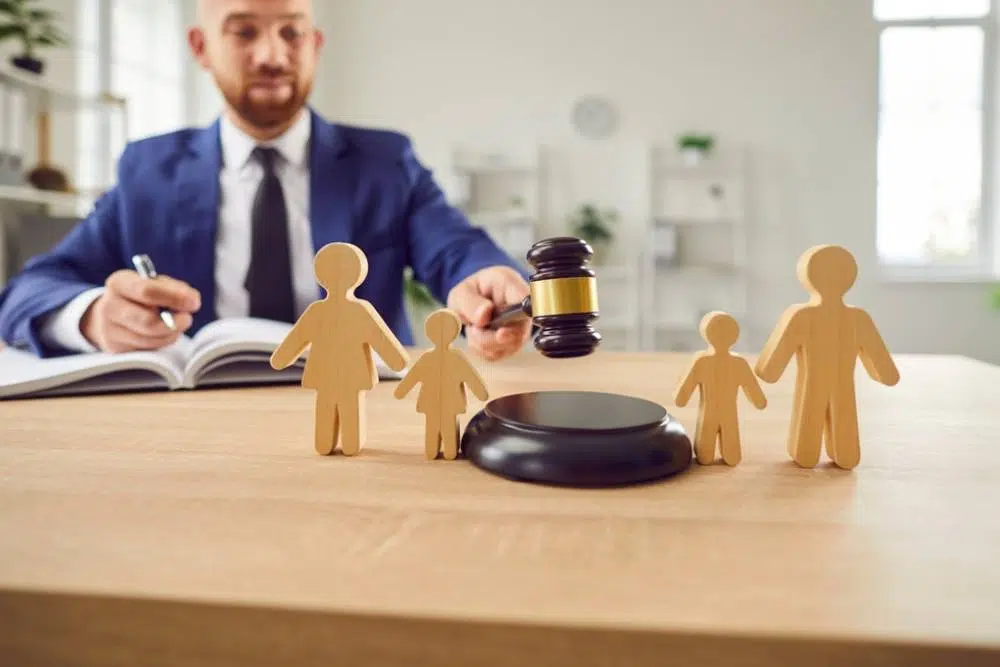 Child Custody Decisions in Divorce and the Best Interests Standard